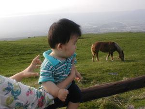 d0013854_2403337.jpg
