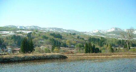 b0015260_892610.jpg