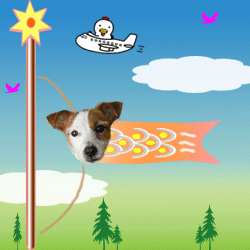 b0065067_285875.gif