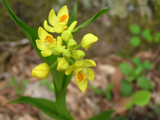 c0042869_20103551.jpg