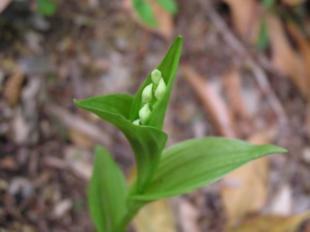 c0042869_2011562.jpg