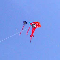b0057679_825449.jpg