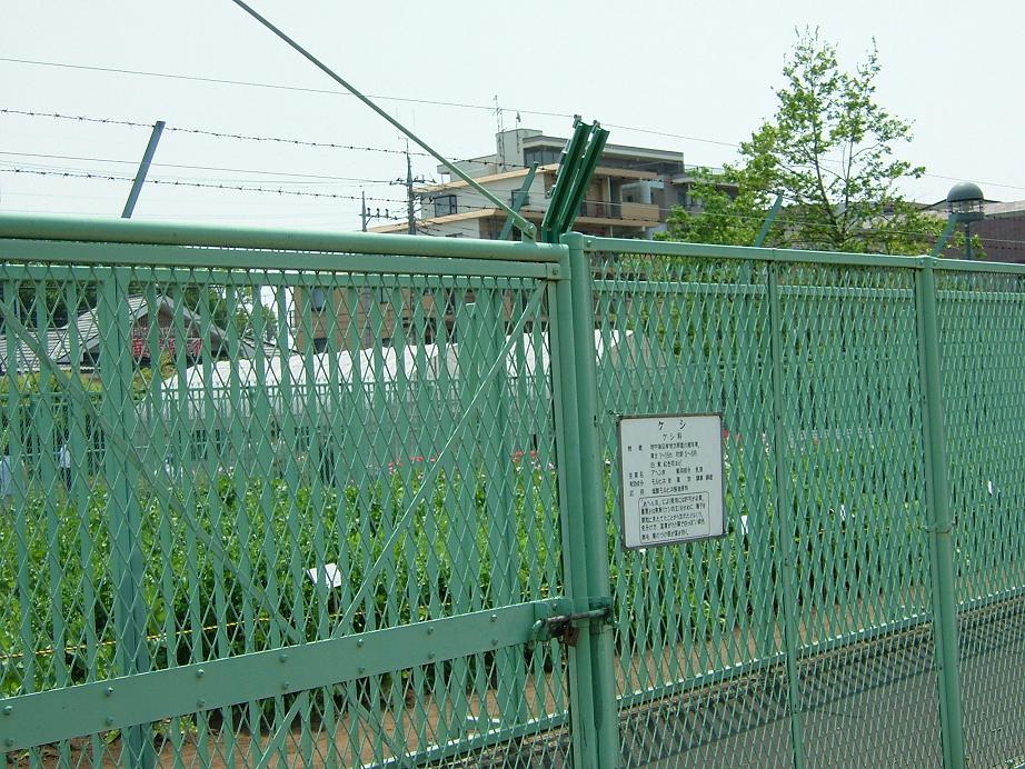 b0064679_14251427.jpg