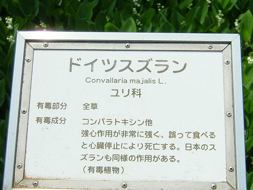 b0064679_151284.jpg