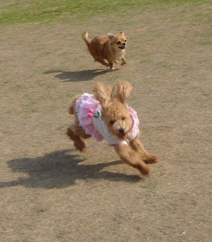 c0041207_11394283.jpg