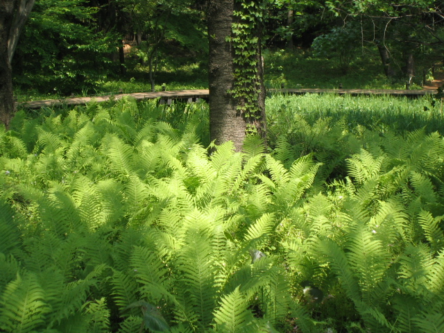 c0060115_10482179.jpg