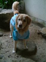 c0040218_22441016.jpg