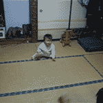 c0042029_13282884.gif