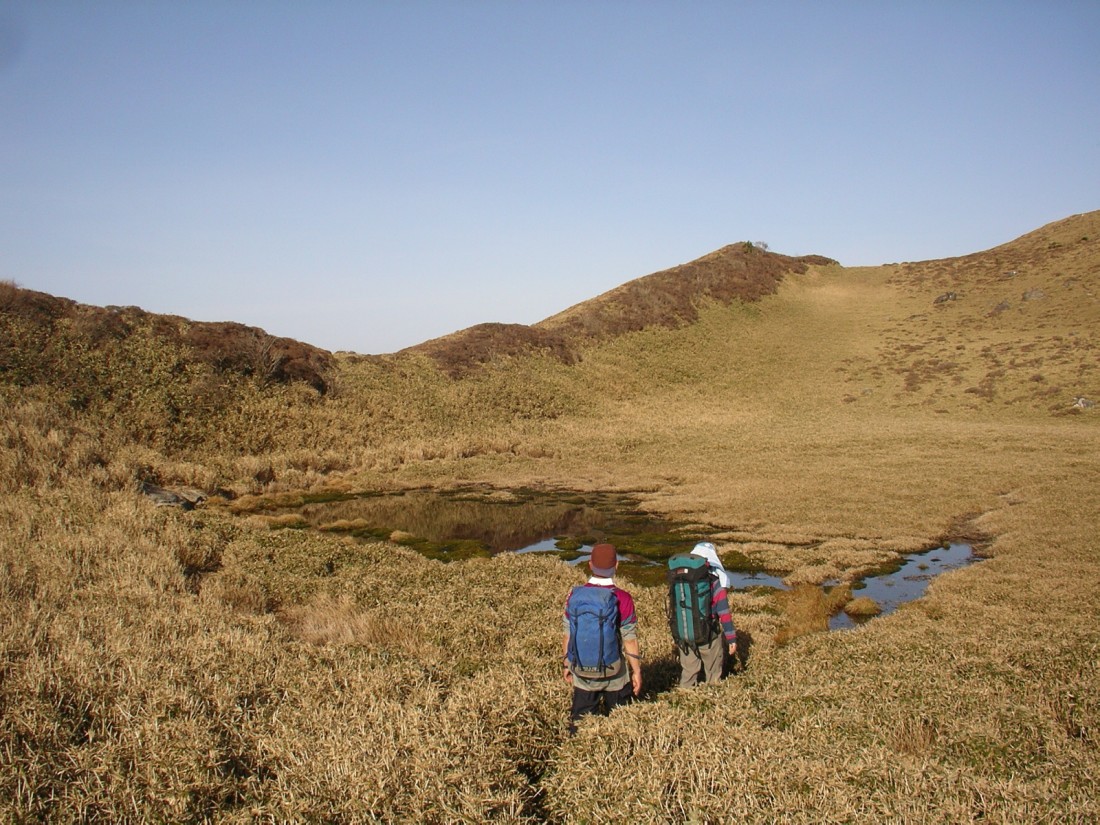 b0005432_9325352.jpg