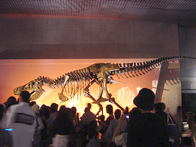 c0000134_17523475.jpg