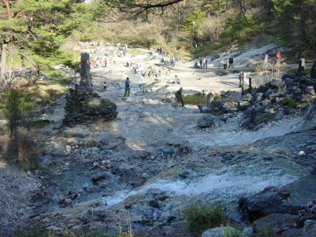 c0000134_18261385.jpg