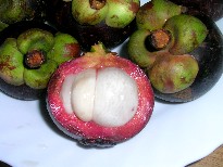 c0008439_8595891.jpg