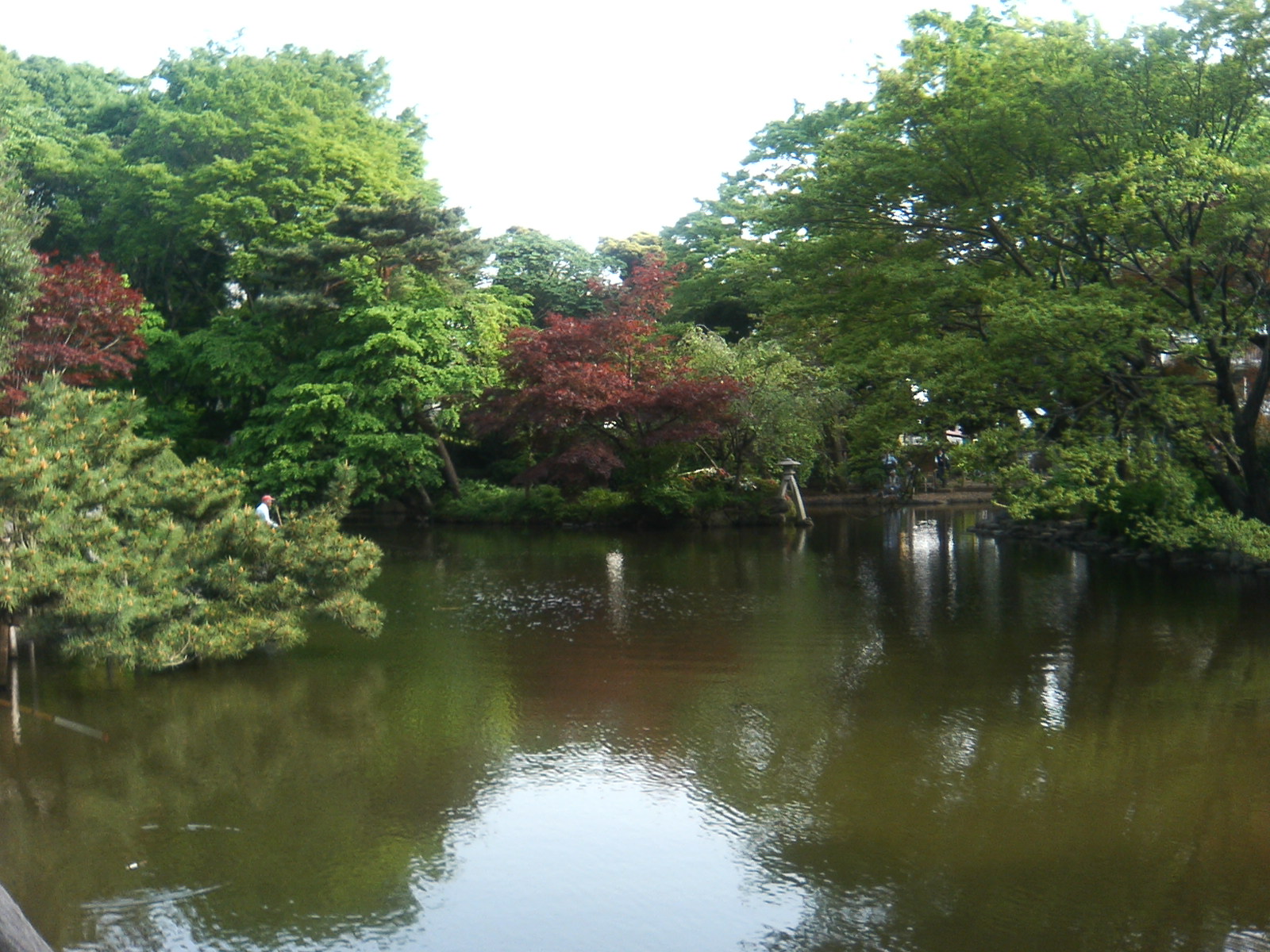 b0019140_1815030.jpg