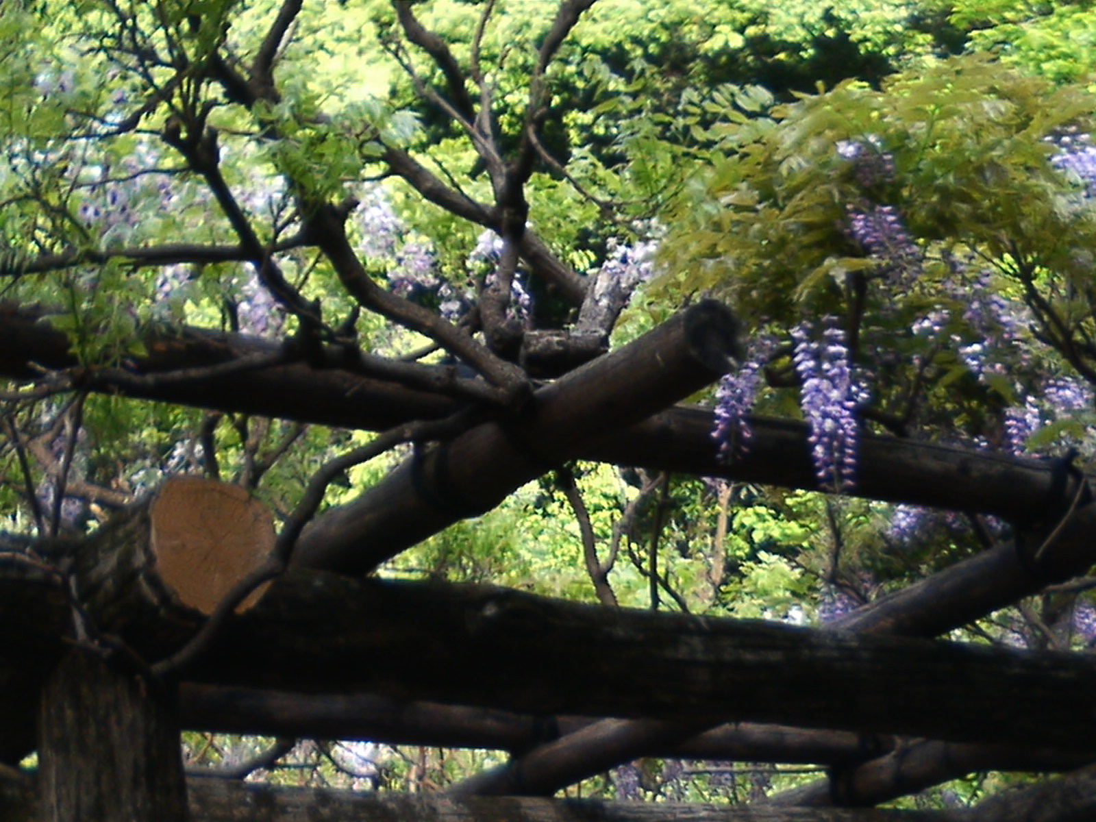 b0019140_18292932.jpg