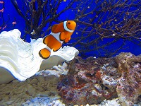 c0042941_2375295.jpg
