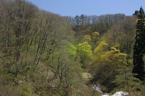 c0043361_224789.jpg