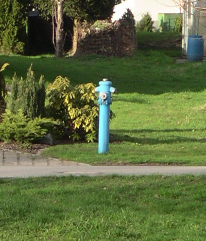 b0038588_21523285.jpg