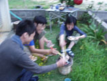 c0068090_1033520.jpg