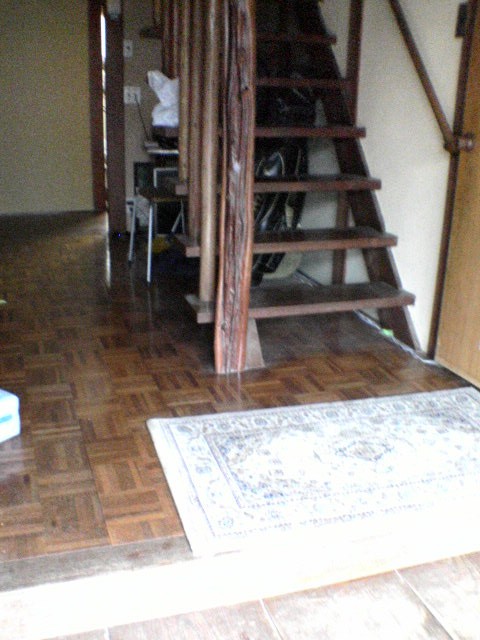 c0034393_12515234.jpg