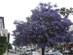 b0043897_90321.jpg
