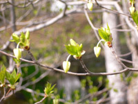 b0009106_19575746.jpg