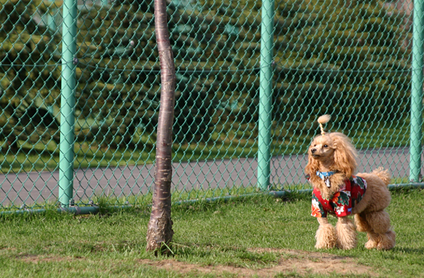 a0016311_128438.jpg