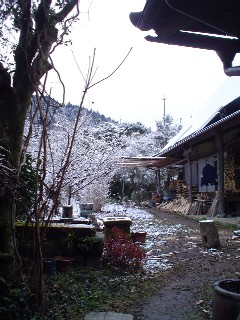 a0018711_164664.jpg