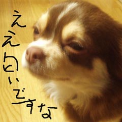 c0036617_15355377.jpg