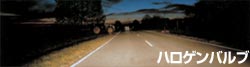 c0041619_21492519.jpg