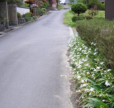 c0072843_20444059.jpg