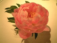 d0023346_17454417.jpg