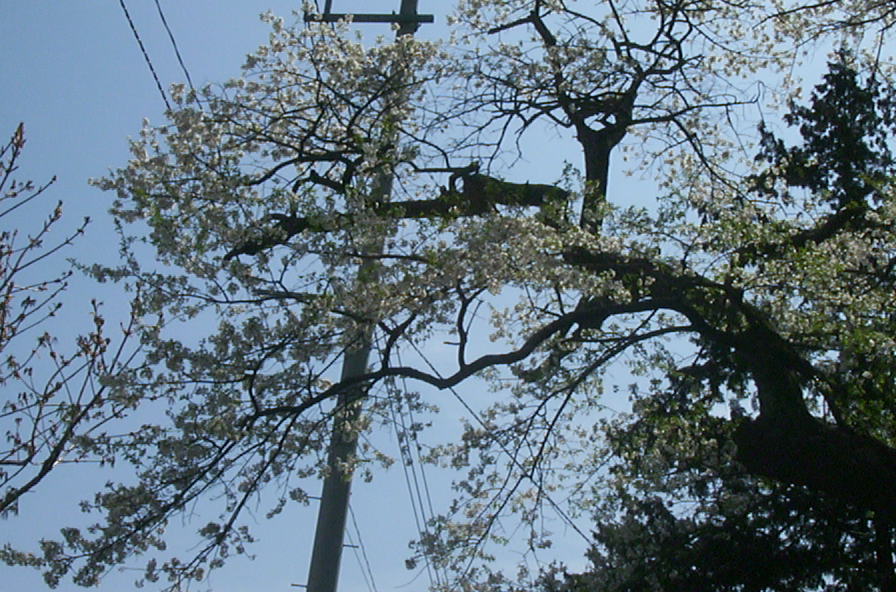 a0029157_7181512.jpg