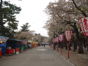 d0027057_040432.jpg