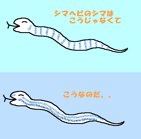 b0015260_13544142.gif