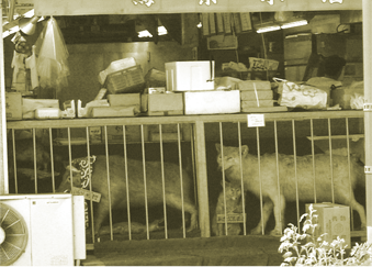 b0016567_1901575.gif