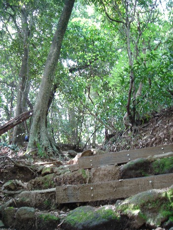 c0039580_1235364.jpg