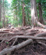 c0039580_125635.jpg