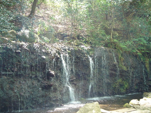 c0039580_133575.jpg