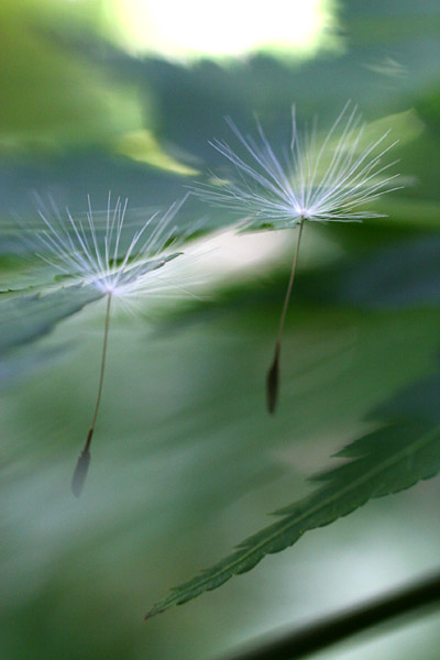 b0067789_20561163.jpg