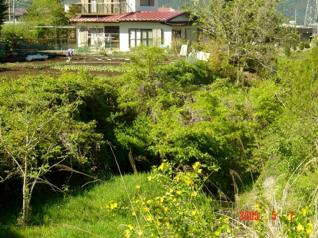a0005691_16104042.jpg