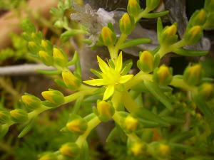 b0052394_113540100.jpg