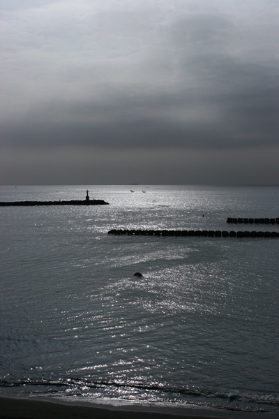 c0032494_738096.jpg