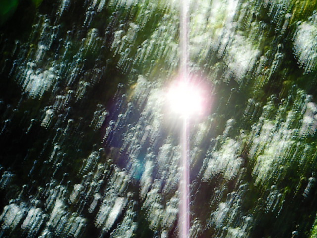 c0034396_2235815.jpg