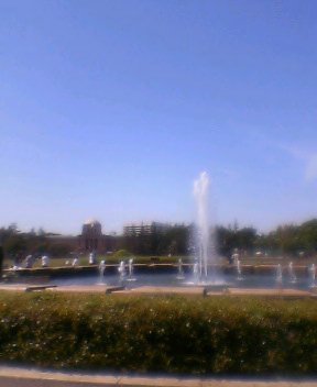 c0037299_2319497.jpg