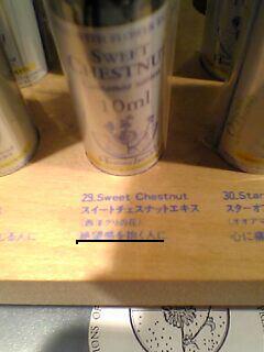 c0055505_0173226.jpg