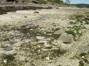b0051109_912651.jpg