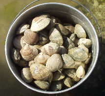b0051109_9155021.jpg