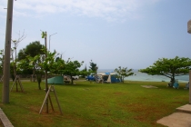 a0036412_22592037.jpg