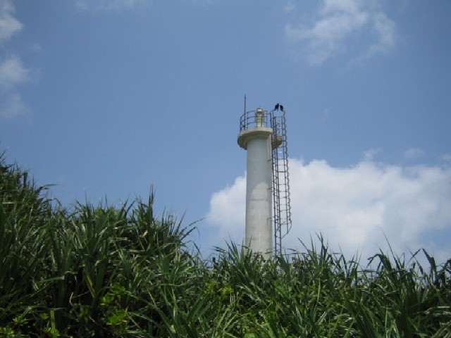 c0000816_1924365.jpg