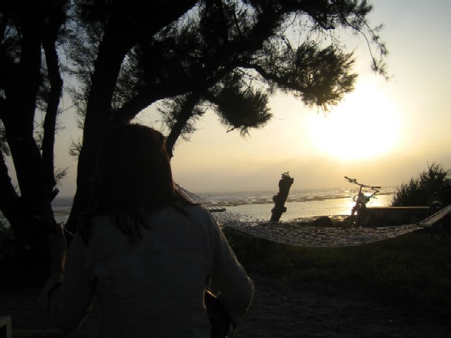 c0000816_19295845.jpg